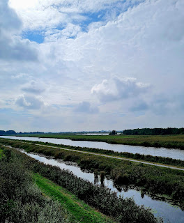 Vogelschutzgebiet von oben