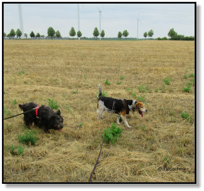 Emma und Lotte