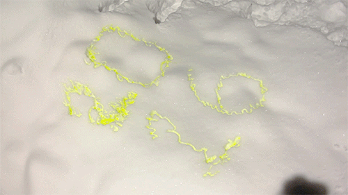 This happy man wrote 2016 on snow and jumped over it like jumping into a bed