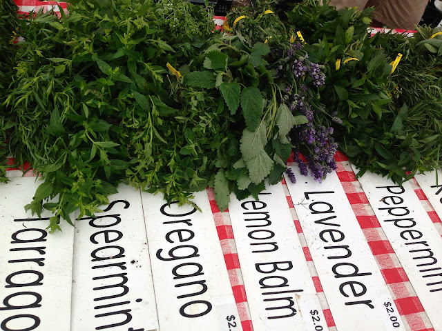 herbs_farmers_market_spearmint_oregano_lemon_balm_lavender_peppermint