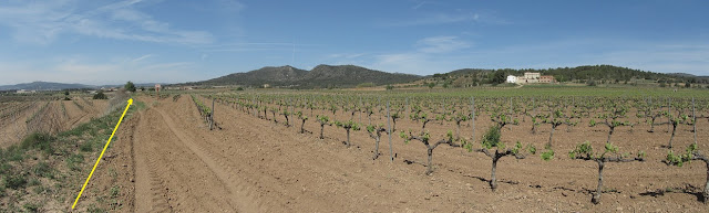 Vilafranca del Penedès a La Bisbal del Penedès - ruta Castellera, de plaça a plaça; camp de vinya a la Masia de Llobets