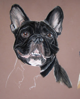 portrait bouledogue