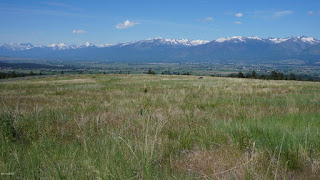 weather underground corvallis