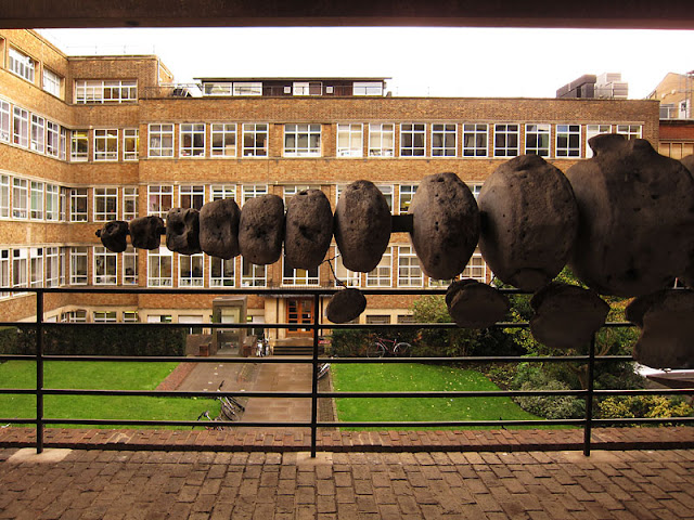 Whale Vertebrae. Photograph by Tim Irving