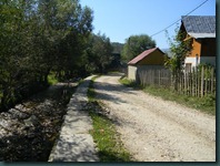DSCN5316