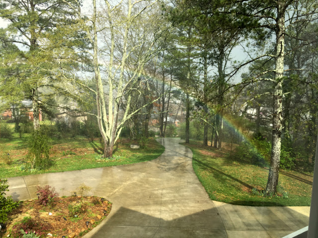 Spring rains brought this welcome sign of promise over our entrance driveway.