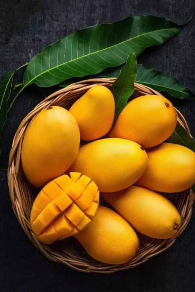 आम खाने के फायदे benefits of eating mango 