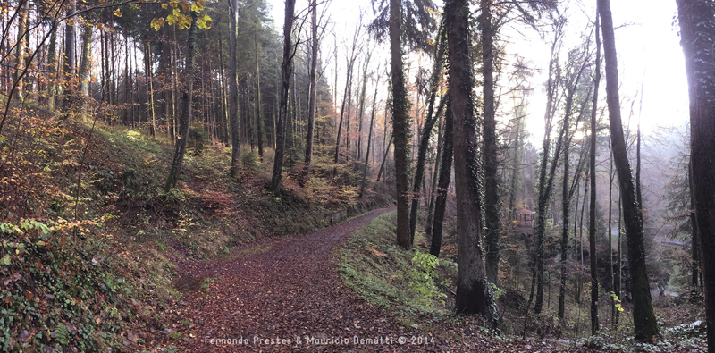 mullerthal trail Luxemburgo