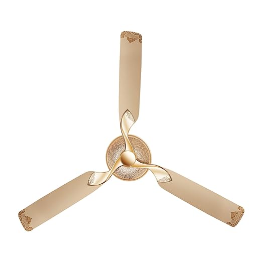 Designer Fans for Living Room