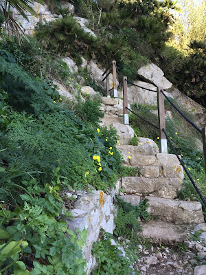 The Mediterranean Steps in Gibraltar