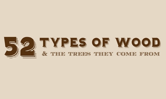 52 Types of Wood and the Trees They Come From