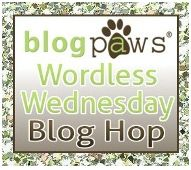 BlogPaws Wordless Wednesday badge.