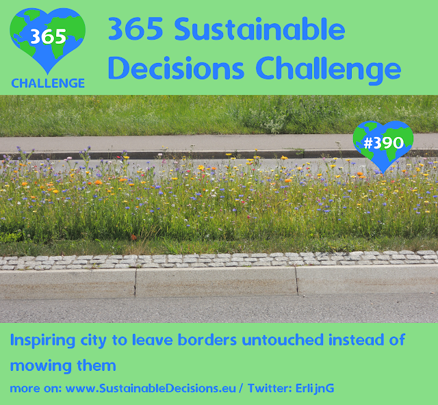 390 - Inspiring city to leave borders untouched instead of mowing them, saving insects, sustainable living, sustainability, climate action