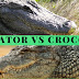 10 Exact Differences between Alligators and Crocodile | Which one is Bigger?