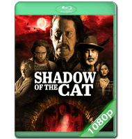 LA SOMBRA DEL GATO (2020) WEB-DL 1080P HD MKV ESPAÑOL LATINO