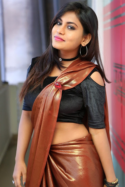 Priyanka Augustin Sexy Saree Picture