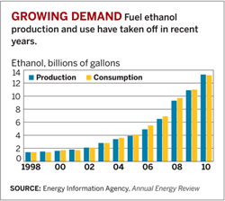 Usa Examining Biofuels Policy