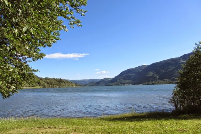 Uitzicht vanuit camper over meer in Noorwegen