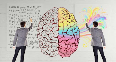الدماغ الأيمن والأيسر