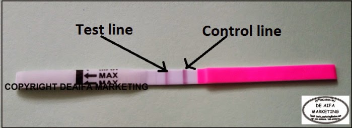 Ovulation test kit (opk) & Pregnancy test (upt) murah