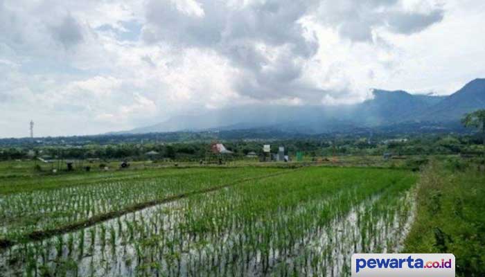 Revisi Perda RTRW Kota Batu, 643 Hektar Lahan Sawah Dipertahankan