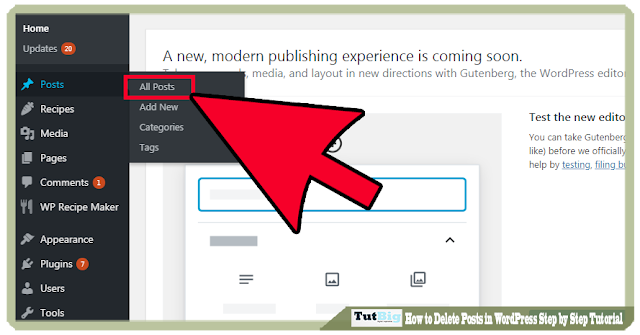  welcome to the TutBig today I will show you How to Delete Posts in WordPress Step by Step Tutorial