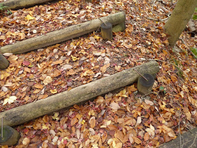 くろんど池 秋の紅葉ウォーキング 紅葉の落ち葉