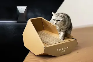 caixa para gatos