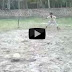 What a Goal... Watch Video 