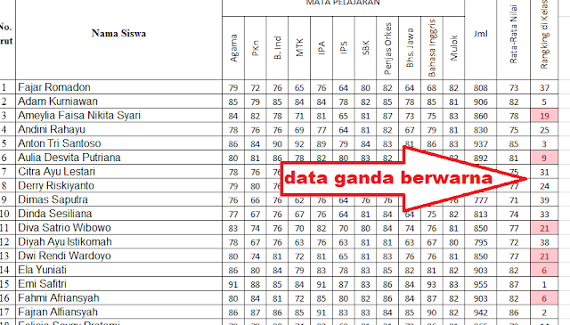 data ganda pada excel ditemukan