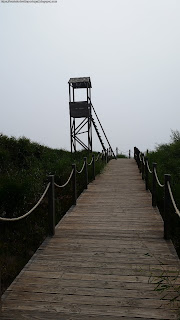 PLACES / Rota Vicentina, Zambujeira do Mar, Portugal