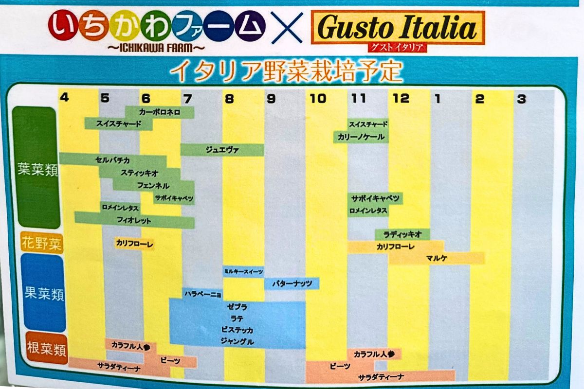 道の駅いちかわのイタリア野菜栽培スケジュール