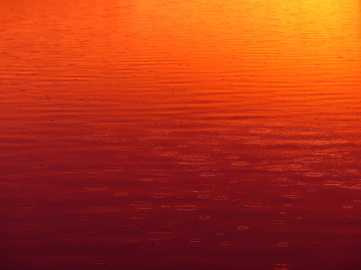 PVUL3_v1RG2IlIFshxgJAYNGvsJnGrdJx_CYrKzKeAAjQnK6kxS6pmYv47DSZtyed1KP_GK8L83g=w737-h553-no