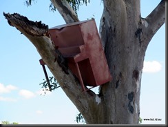 180429 028 Clermont 1916 Flood Piano in a Tree