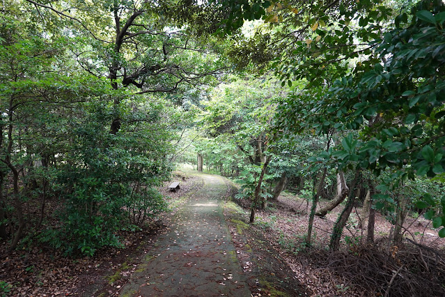 鳥取県西伯郡大山町妻木 鳥取県立むきばんだ史跡公園 弥生の森 遊歩道
