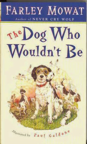 http://discover.halifaxpubliclibraries.ca/?q=title:dog%20who%20wouldn%27t%20be