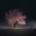  Sakura Tree wallpaper engine download 