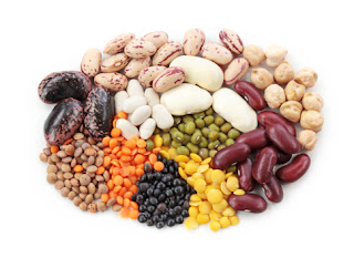 Legumes Industry