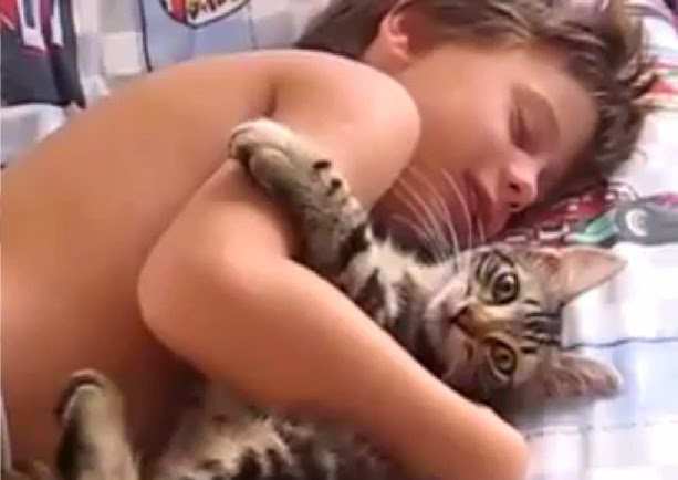 OUCH BOY WITH CAT