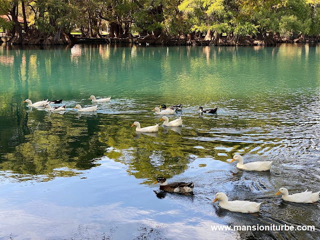 Lago de Camécuaro en Michoacán