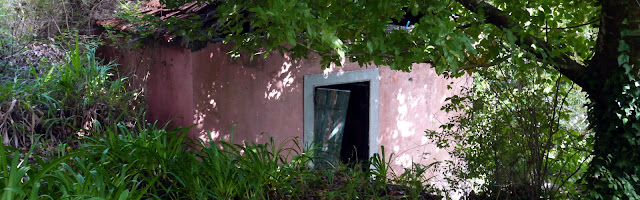 Deserted agricultural store