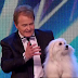 Britain's Got Talent's talking dog Miss Wendy 