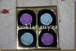 Coklat 16.3.2011 057