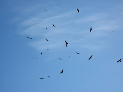 DSCF6436.JPG
