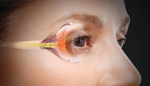 Novel Drugs And Devices To Lower Intraocular Pressure Market