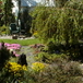 View album