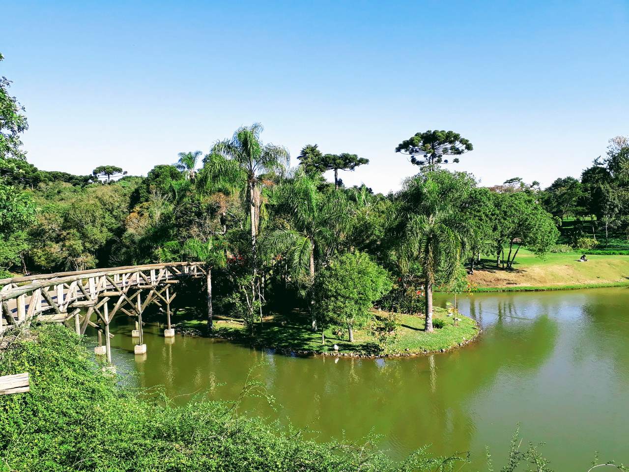 Curitiba - passeio pelo Jardim Botânico Francisca Rischbieter