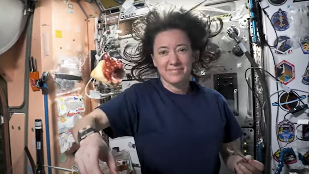 How do you grow plants in space?