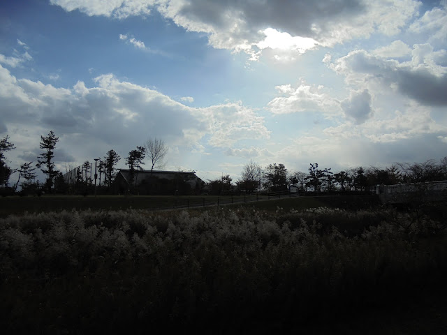 鳥取県立武道館