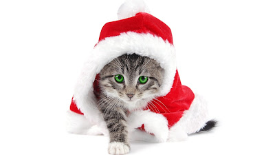 Cat Christmas Wallpapers
